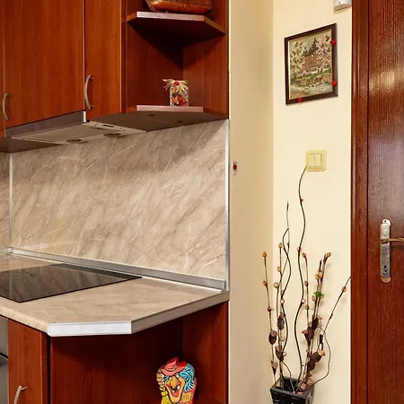 Comfort Corner - 1bd With Balcony By Flat Mаnager Apartman Plovdiv